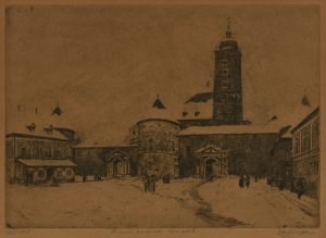 5. SENOA